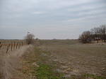 DSCF0019