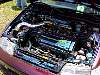 A Nice CRX 1